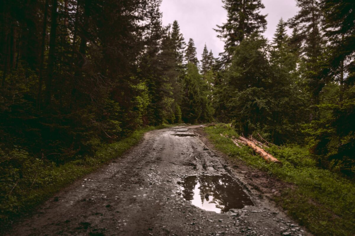 narrow road with puddles after rain